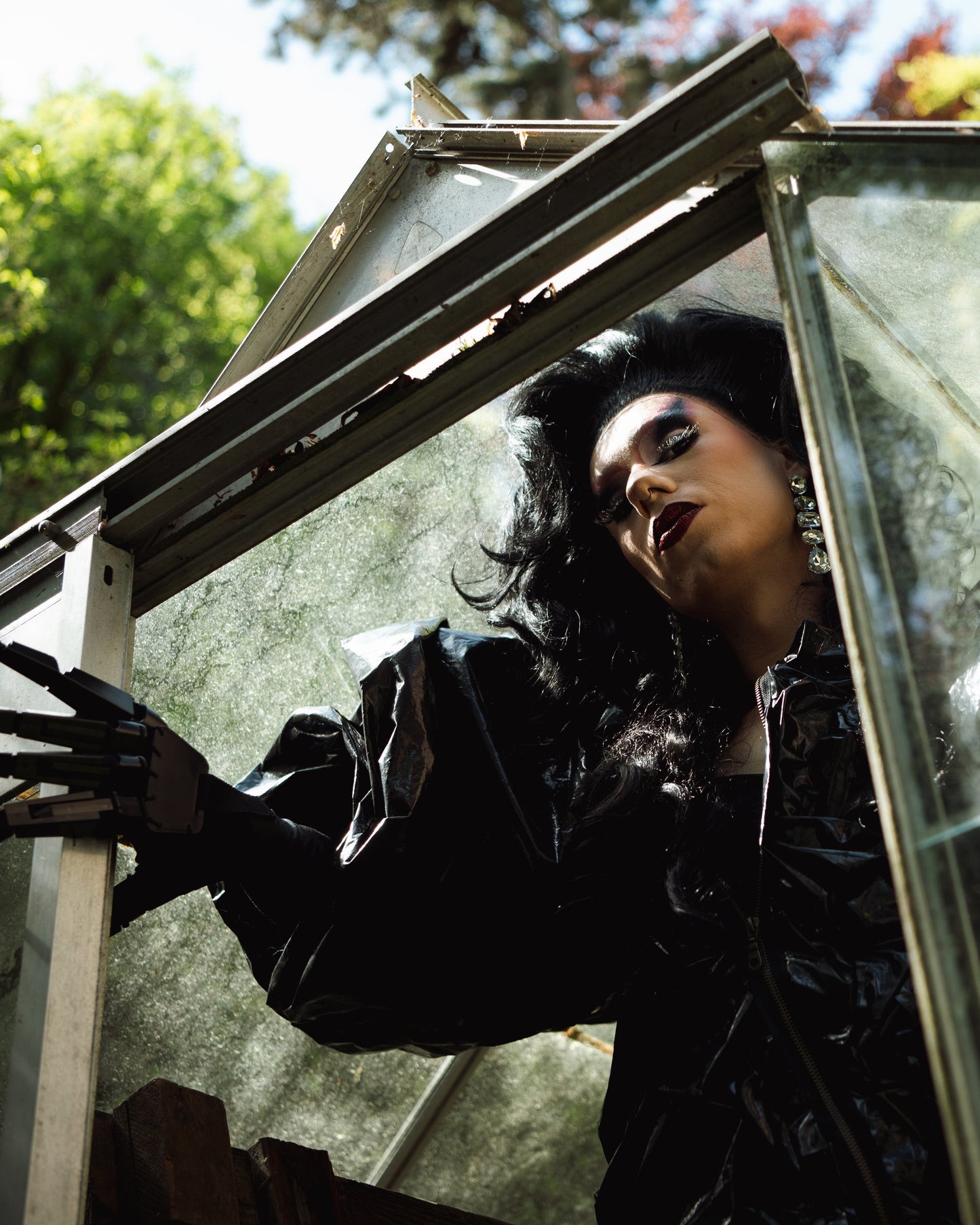 Black Bloom (rental)