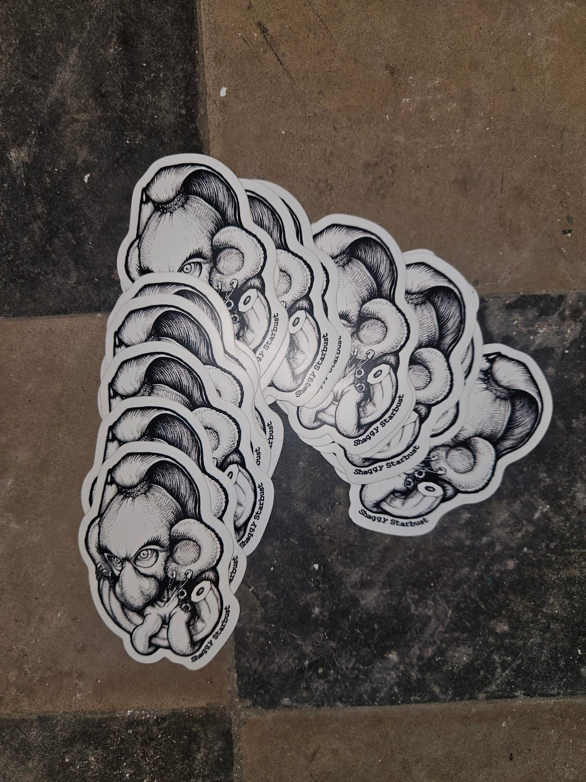 Shaggy Starbust Sticker
