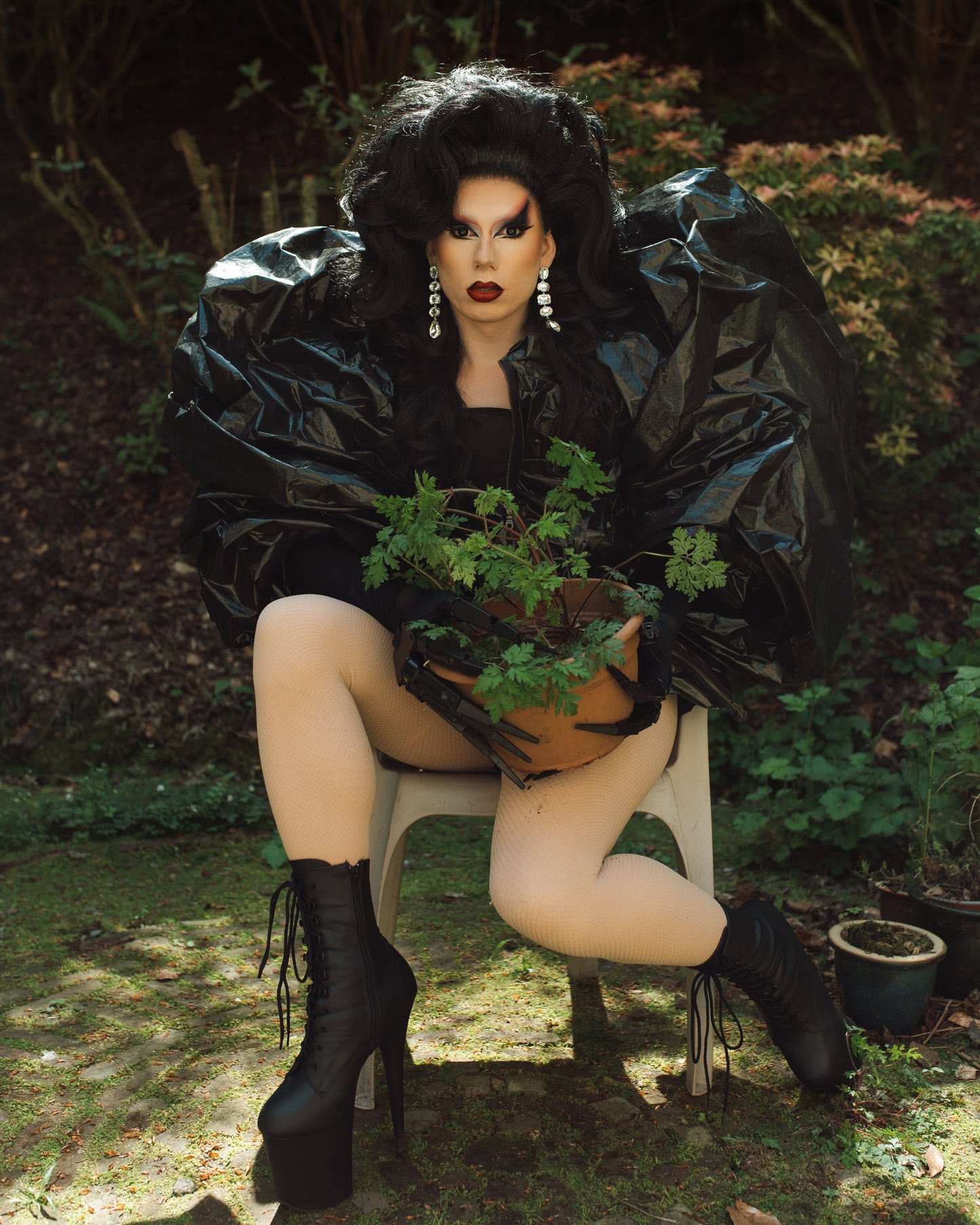 Black Bloom (rental)