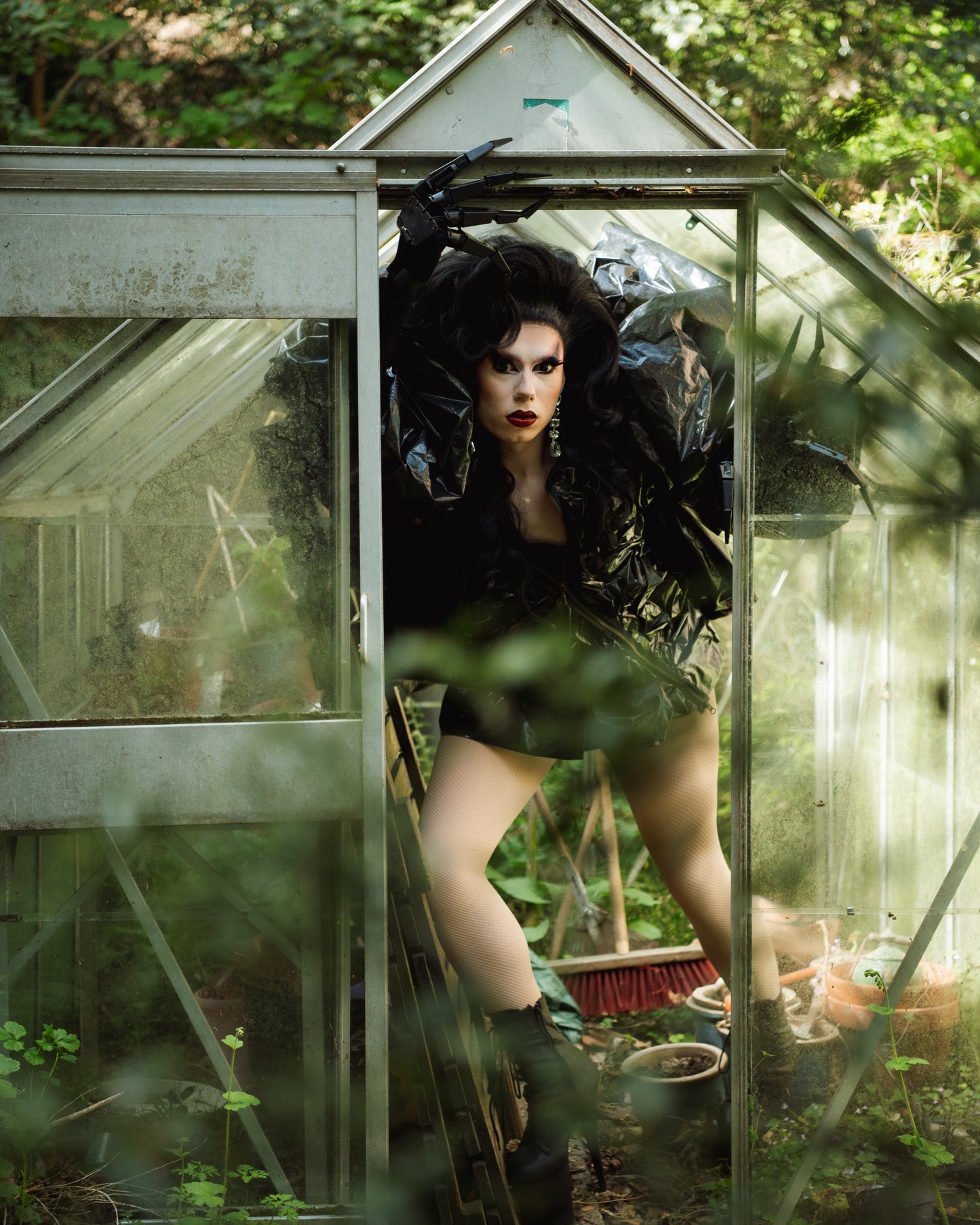 Black Bloom (rental)
